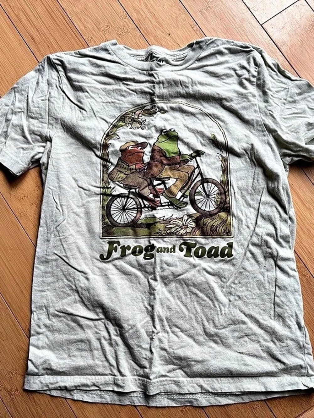 Old Navy Frog and Toad T-Shirt Gray & Green Small